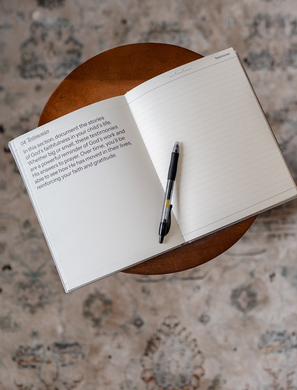 Destiny Journal: A journey of Prayer, Promise and Purpose for your Child