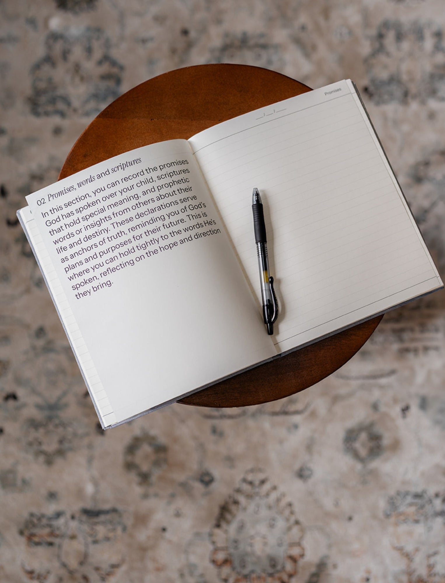 Destiny Journal: A journey of Prayer, Promise and Purpose for your Child